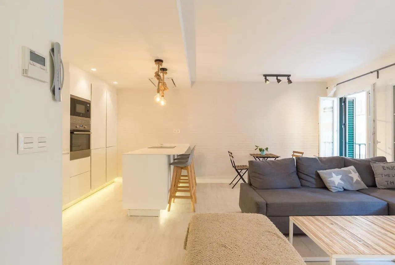 Apartment Gran Apartamento En El Centro Historico Con Parking Gratuito 4 Habitaciones Por Keywise Malaga Spain